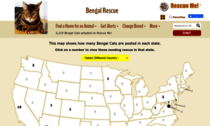 Bengal.rescueme.org thumbnail