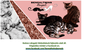 Bengalcat.hu thumbnail