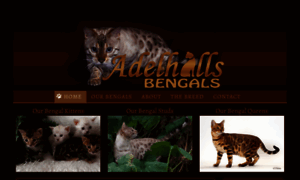 Bengalcatbreeder.com.au thumbnail