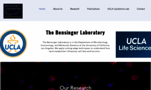 Bensingerlab.com thumbnail