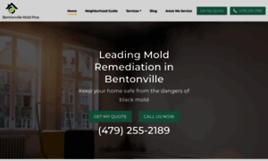 Bentonville-moldremediation.com thumbnail