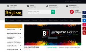 Berguzarreklam.com thumbnail