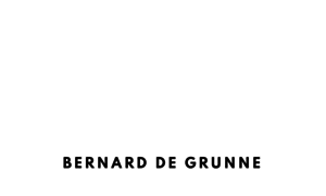 Bernarddegrunne.com thumbnail