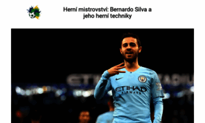 Bernardosilva-cz.biz thumbnail