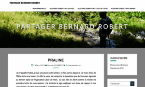 Bernardrobert.fr thumbnail