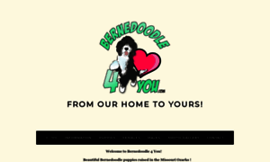 Bernedoodle4you.com thumbnail