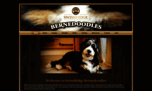 Bernedoodles.com thumbnail