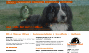 Berner-sennenhunde-in-not.de thumbnail