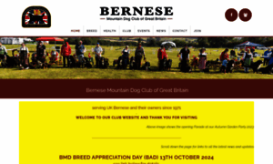 Bernese.co.uk thumbnail