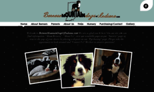 Bernesemountaindogsofindiana.com thumbnail