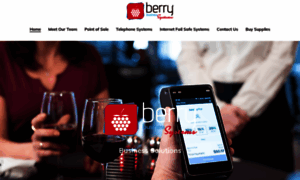 Berrybusinesssystems.com thumbnail