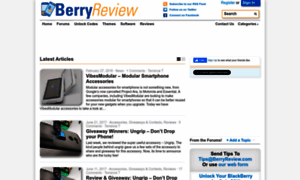 Berryreview.com thumbnail