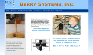 Berrysystemsinc.com thumbnail
