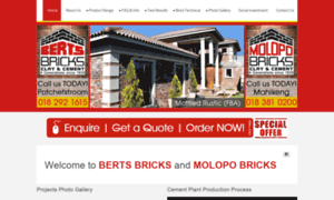 Bertsbricks.co.za thumbnail