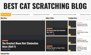 Best-cat-scratching-posts.com thumbnail