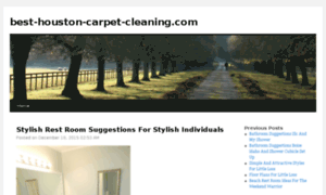 Best-houston-carpet-cleaning.com thumbnail