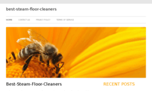 Best-steam-floor-cleaners.com thumbnail