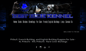 Bestbluekennel.com thumbnail