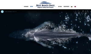 Bestboatsonly.com thumbnail