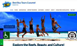 Bestbuytourscozumel.com thumbnail