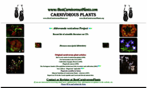Bestcarnivorousplants.com thumbnail