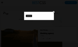Bestcss.in thumbnail