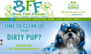 Bestfidofriends.com thumbnail