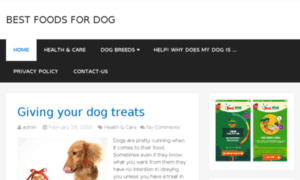 Bestfoodsfordog.com thumbnail