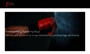 Bestfreestandingpunchingbag.com thumbnail