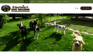 Bestfriendsdogwalking.ca thumbnail