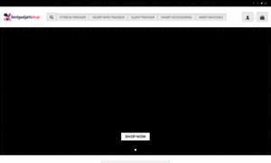 Bestgadgetsshop.online thumbnail