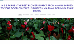 Besthawaiianflowers.com thumbnail