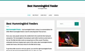 Besthummingbirdfeeder.org thumbnail