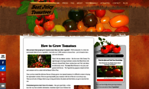 Bestjuicytomatoes.com thumbnail