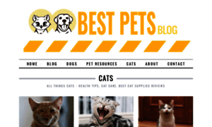 Bestpets.co thumbnail