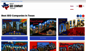 Bestseocompanytexas.com thumbnail