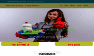 Bestshinecleaningservices.com thumbnail