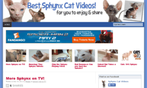 Bestsphynxcatvideos.com thumbnail