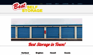 Beststorageintown.com thumbnail