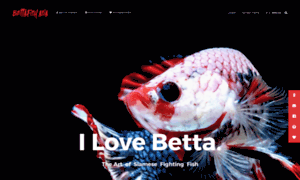 Bettafish.asia thumbnail