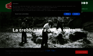 Bettinibio.com thumbnail