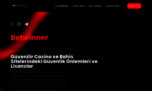 Betwinnergiris.site thumbnail