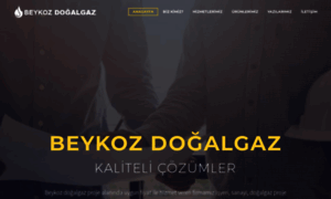 Beykozdogalgazprojesi.com thumbnail