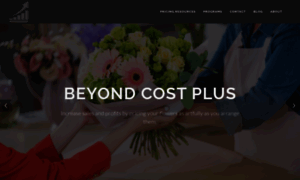 Beyondcostplus.com thumbnail