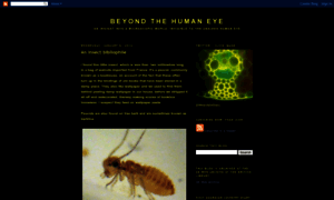 Beyondthehumaneye.blogspot.com thumbnail