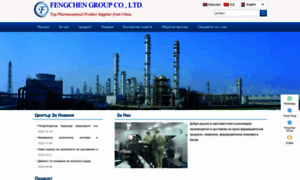 Bg.fengchengroup.net thumbnail