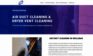 Bgductcleaning.com thumbnail