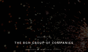 Bgh-group.co.nz thumbnail