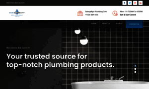 Bgsi-plumbing.com thumbnail