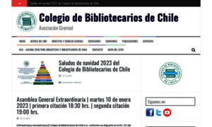 Bibliotecarios.cl thumbnail